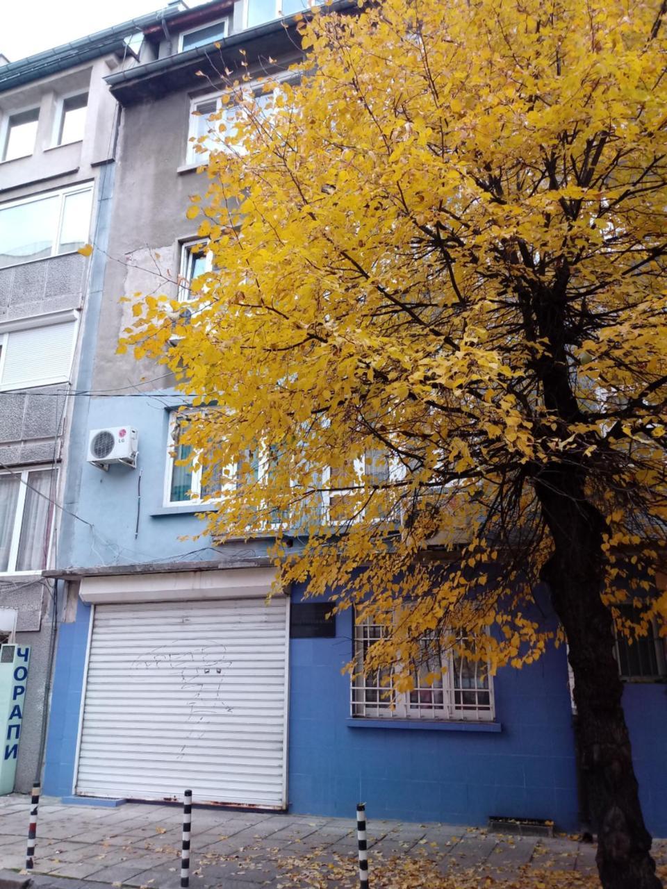 Atelier 9 - Art Mansard Studio Sófia Exterior foto